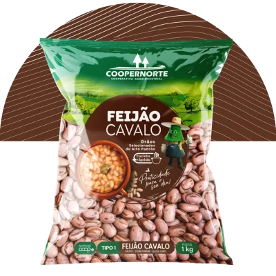 03 site - Feijão cavalo